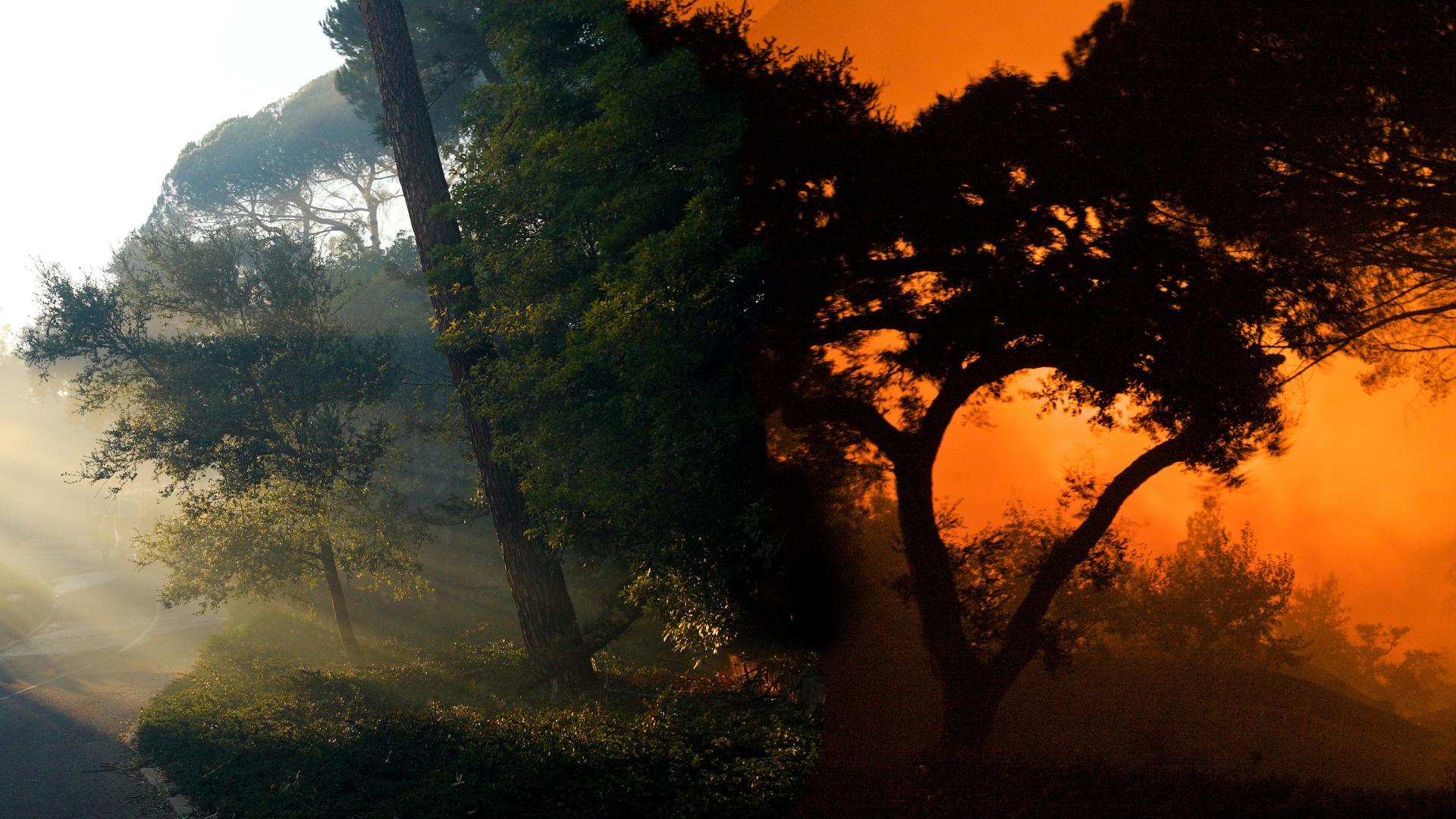 Panoramic digital collage of the Tea Fire at Westmont College.